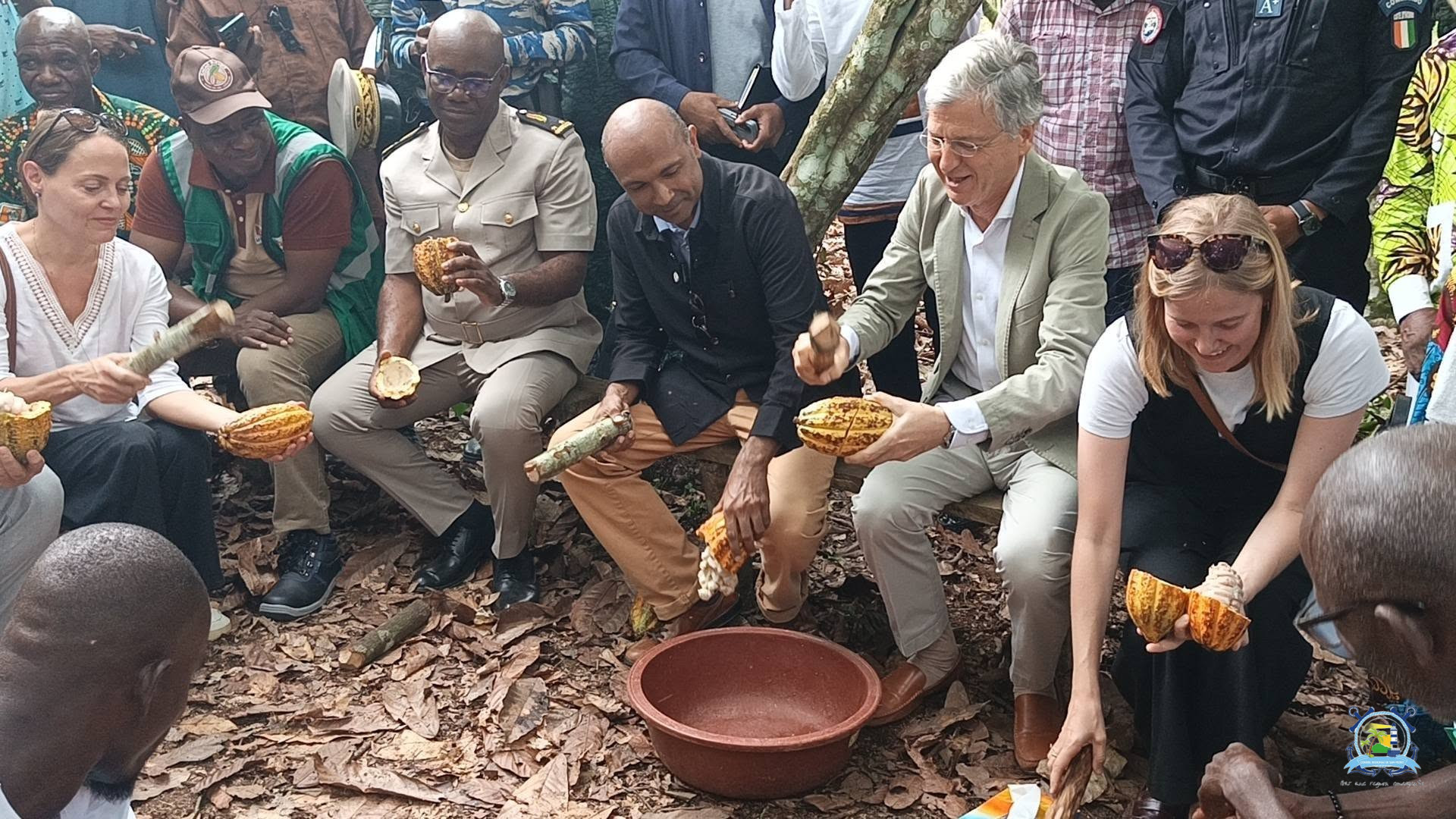 Cacao durable et coopération européenne : L'Union européenne au cœur des plantations et des territoires du Bas-Sassandra